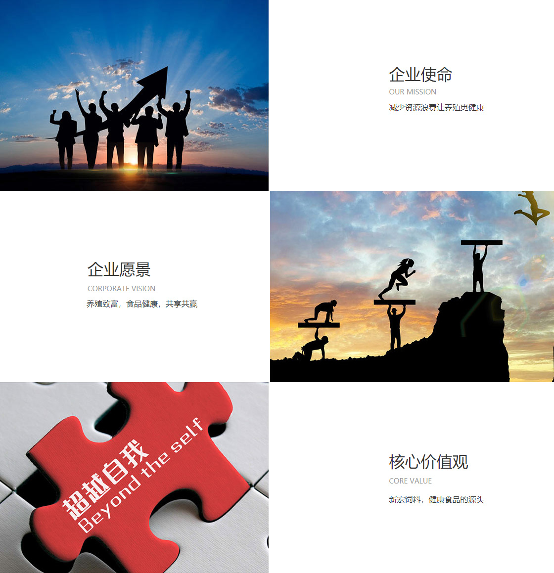 亚美网页版官网(图1)